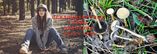 прущий лед Арсеньев