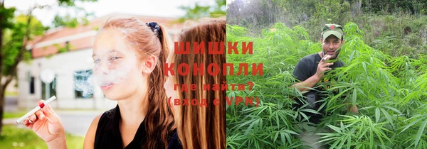 PSILOCYBIN Аркадак