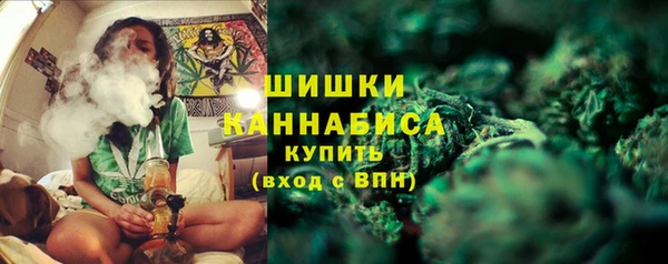 PSILOCYBIN Аркадак