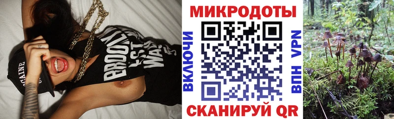 кракен онион  Ульяновск  shop формула  Псилоцибиновые грибы прущие грибы 